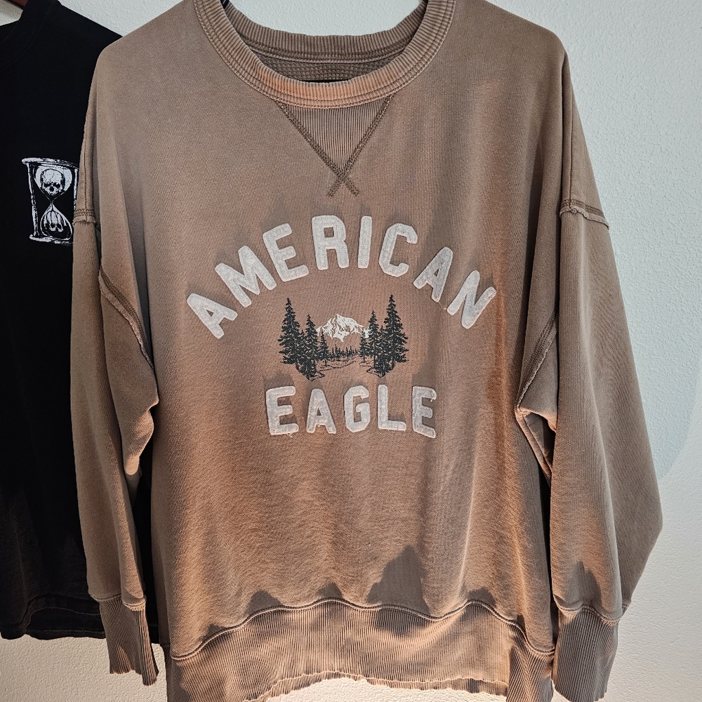 Vintage 2000s American Eagle Crewneck Sweatshirt. Tan. MEDIUM.